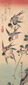 Jaskółki i Pączkowanie Dzikiej Wiśni, ca. 1835., ca. 1835. autorstwa Ando Hiroshige