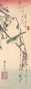 Pokrzewka na gałązce śliwki , ca. 1835., ca. 1835. autorstwa Ando Hiroshige