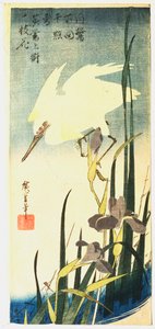 Czapla Biała i Irysy, 1833 autorstwa Ando Hiroshige