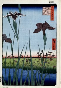 „Sto słynnych widoków Edo” : „Tęczówka do Horikiri” (Irysy w Horikiri (sto słynnych widoków Edo) Japońska grafika Utagawa Hiroshige (1797-1858) 1856-1858 Muzeum Ermitażu w Petersburgu autorstwa Ando or Utagawa Hiroshige