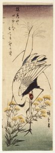 Żuraw z dziką gorczycą (drzeworyt kolorowy) autorstwa Ando or Utagawa Hiroshige