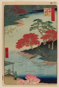 Wewnątrz świątyni Akiba, Ukeji autorstwa Ando or Utagawa Hiroshige