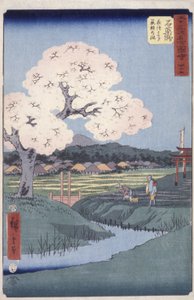 Ishi Yakushi autorstwa Ando or Utagawa Hiroshige