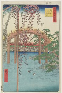 Linia Kameido Tenjin Sh, drzewo z 1856 r. autorstwa Ando or Utagawa Hiroshige