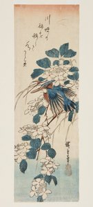 Zimorodek i Kalina (kolorowy drzeworyt) autorstwa Ando or Utagawa Hiroshige