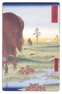 Równina Kogane w prowincji Shimōsa (Shimōsa Koganegahara) (drzeworyt kolorowy) autorstwa Ando or Utagawa Hiroshige