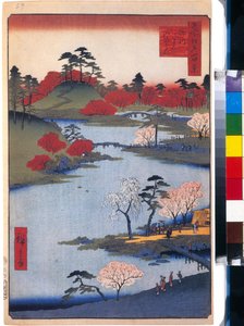 Le jardin du temple Hachiman a Fukagawa (cent vues celebres de Edo) - Oeuvre de Utagawa Hiroshige (1797-1858), estampe japonaise, vers 1858 - (Otwarty ogród w świątyni Hachiman w Fukagawa (Sto słynnych widoków Edo), Kolor drzeworyt Hiroshige, ca autorstwa Ando or Utagawa Hiroshige
