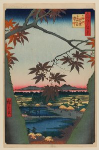 Drzewa klonowe w Mama, świątynia Tekona i połączony most autorstwa Ando or Utagawa Hiroshige