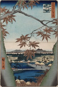 Liście klonu i Tekona Shrine oraz Bridge at Mama, z serii „Sto widoków znanych miejsc w Edo” autorstwa Ando or Utagawa Hiroshige