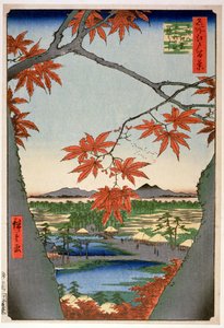 Maples at Mama, z cyklu „100 widoków słynnych miejsc w Edo” („Meisho Edo hyakkei”), wyd. autor: Uoya Eikichi