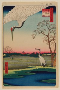 Minowa, Kanasugi, Mikawashima autorstwa Ando or Utagawa Hiroshige