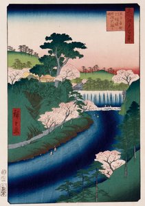 Tama rzeki Otonashi, Oji, popularnie nazywana Wielkim Wodospadem, z serii „Sto widoków znanych miejsc w Edo” autorstwa Ando or Utagawa Hiroshige