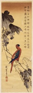 Papuga i winorośl (kolorowy drzeworyt) autorstwa Ando or Utagawa Hiroshige