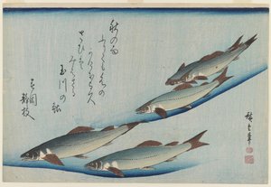 Szkoła Pięciu Troci Morskich, Epoka Edo (kolorowy drzeworyt na papierze) autorstwa Ando or Utagawa Hiroshige