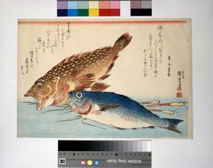 Ryba skorpion i ryba isaki z imbirem korzennym autorstwa Ando or Utagawa Hiroshige