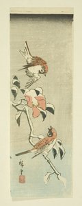 Sparrows and Camellia in Snow (kolorowy drzeworyt) autorstwa Ando or Utagawa Hiroshige