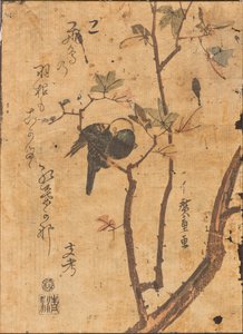 Badanie ptaka śpiącego na gałęzi autorstwa Ando or Utagawa Hiroshige