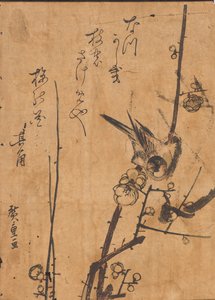Badanie ptaka siedzącego na gałęzi autorstwa Ando or Utagawa Hiroshige