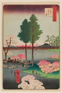 Suwa Bluff, Nippori autorstwa Ando or Utagawa Hiroshige