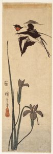 Jaskółki i Irys (drzeworyt kolorowy) autorstwa Ando or Utagawa Hiroshige