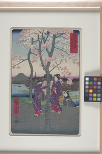 Nabrzeże Sumida we wschodniej stolicy (Tōto: Sumida Tei) (drzeworyt kolorowy) autorstwa Ando or Utagawa Hiroshige