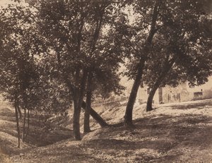 Drzewa, ok. 1855.