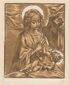 Maryja adoruje Dzieciątko Chrystus autorstwa Andrea Andreani