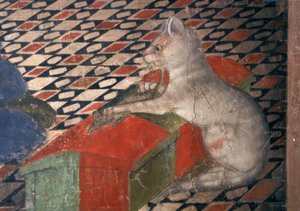 Atri, katedra, kot / A.Delitio autorstwa Andrea Delitio