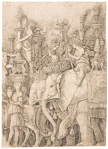 Słonie niosące pochodnie autorstwa Andrea Mantegna