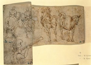 Inw. nr 38 recto Szkic koni, ok. godz. 1460-70 (pióro i atrament) autorstwa Andrea Verrocchio