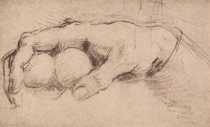 Ręka; rysunek autorstwa Andrea del Sarto