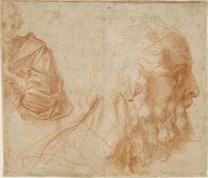 Młodzieniec i głowa starego Homera. Studium, ok. 1521 autorstwa Andrea del Sarto