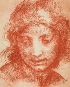 Chłopcy Głowa autorstwa Andrea del Sarto