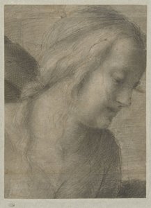 Głowa Maryi podczas adoracji autorstwa Andrea del Sarto