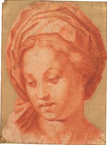 Madonna z Borghese autorstwa Andrea del Sarto