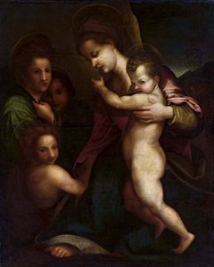 Madonna z Dzieciątkiem Jezus i św. Janem autorstwa Andrea del Sarto