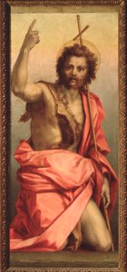 Św. Jan Chrzciciel, Ołtarz św. Agnieszki (Malarstwo, 1525-1528) autorstwa Andrea del Sarto