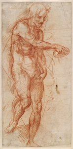 Studium św. Jana Chrzciciela, ok. 1518 autorstwa Andrea del Sarto