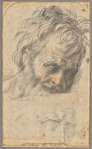 Studium głowy świętego Józefa (recto); Dwa studia nóg (verso) autorstwa Andrea del Sarto