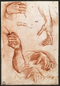 „Studium rąk” rysunek węglem (węgiel) autorstwa Andrea del Sarto