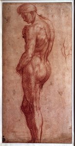 Studium aktu męskiego Drawing a la sanguine autorstwa Andrei d