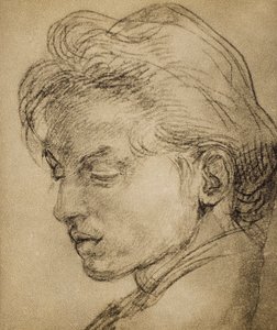Męska głowa z profilu autorstwa Andrea del Sarto