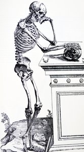Ludzki szkielet z czaszką w dłoni. Z „De Humani Corporis Fabrica” Vesaliusa. Możliwy drwal: Jan von Calcar