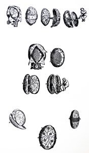 Tablice z V Księgi De Humani Corporis Fabrica autorstwa Andreas Vesalius
