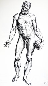 Płyty z siódmej księgi De Humani Corporis Fabrica autorstwa Andreas Vesalius