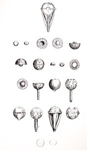 Płyty z siódmej księgi De Humani Corporis Fabrica autorstwa Andreas Vesalius