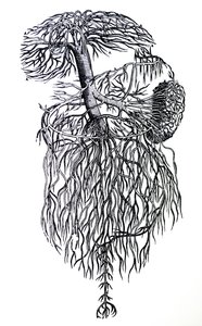 Płyty z III Księgi De Humani Corporis Fabrica autorstwa Andreas Vesalius