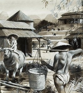 Rolnictwo w Chinach (gwasz na papierze) autorstwa Andrew Howat