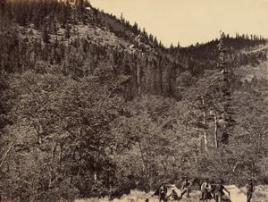 Płyta 19. Wśród drewna na czele rzeki Little Laramie, 1869 (zdjęcie) autorstwa Andrew Joseph Russell