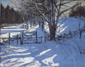 Brama w pobliżu Youlgreave, Derbyshire autorstwa Andrew Macara